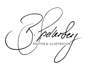 Signatur_FINAL-350px